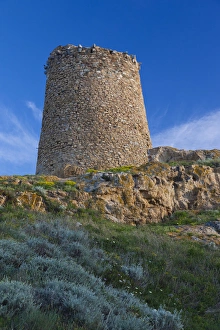 Images Dated 4th May 2012: France, Corsica, Haute-Corse Department, La Balagne Region, Ile Rousse, Ile de la Pietra