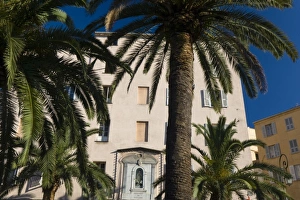 Man Made Prints: France, Corsica. Palm trees and apartment building. Ajaccio