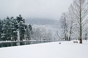 Images Dated 6th March 2005: FRANCE-French Alps (Isere)-VIZILLE: Chateau de Vizille Park after winter storm