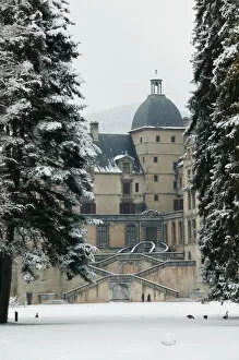Images Dated 6th March 2005: FRANCE-French Alps (Isere)-VIZILLE: Chateau de Vizille Park after winter storm