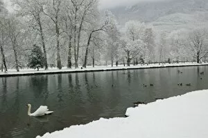 FRANCE, French Alps (Isere), VIZILLE: Chateau de Vizille Park after winter stormSwan Lake