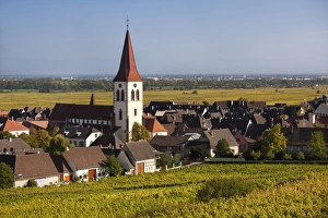Images Dated 11th October 2010: France, Haut-Rhin, Alsace Region, Alasatian Wine Route, Ammerschwihr, afternoon town view