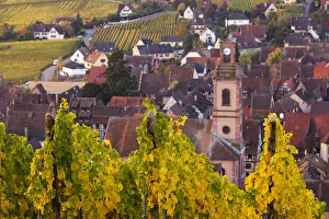 Images Dated 11th October 2010: France, Haut-Rhin, Alsace Region, Alasatian Wine Route, Riquewihr, town view, dawn