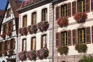 Haut Rhin Prints: France, Haut-Rhin, Alsace Region, Alsatian Wine Route, Bergheim, town detail