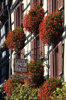 Images Dated 11th October 2010: France, Haut-Rhin, Alsace Region, Alsatian Wine Route, Bergheim, town detail