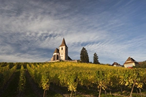 Images Dated 11th October 2010: France, Haut-Rhin, Alsace Region, Alsatian Wine Route, Hunawihr, town church, autumn