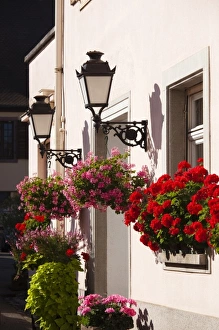Images Dated 11th October 2010: France, Haut-Rhin, Alsace Region, Alsatian Wine Route, Ribeauville, building detail