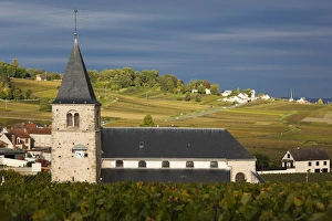 Images Dated 6th October 2010: France, Marne, Champagne Ardenne, Mailly-Champagne, town church and vineyards