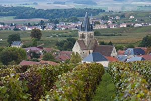 Images Dated 6th October 2010: France, Marne, Champagne Ardenne, Ville Dommange, town overview with church and vineyards