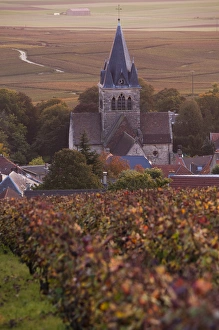 Images Dated 7th October 2010: France, Marne, Champagne Ardenne, Ville Dommange, town overview, sunrise