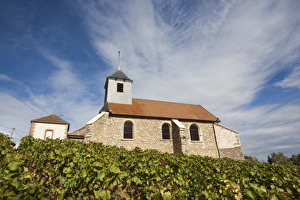 Champagne Ardenne Prints: France, Marne, Champagne Ardenne, Mutigny, town church and vineyards