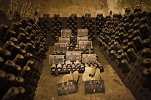 Images Dated 5th October 2010: France, Marne, Champagne Ardenne, Reims, Pommery champagne winery, champagne cellars