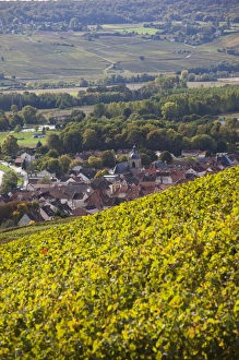 Champagne Ardenne Prints: France, Marne, Champagne Region, Cumieres, town overview from vineyards