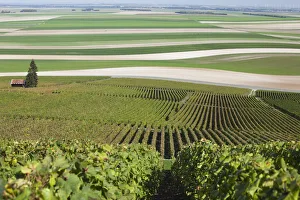 Images Dated 7th October 2010: France, Marne, Champagne Region, Mont Aime, elevated view of vineyards and fields