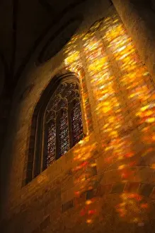 France, Midi-Pyrenees Region, Haute-Garonne Department, Toulouse, Eglise des Jacobins