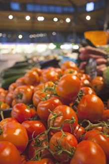 France, Midi-Pyrenees Region, Tarn Department, Albi, covered market, tomatoes