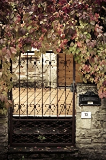France, Midi-Pyrenees Region, Tarn Department, Cordes-sur-Ciel, gate with autumn foliage