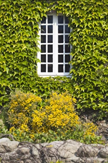 Images Dated 24th May 2012: France, Normandy Region, Manche Department, St-Germain des Vaux, window detail