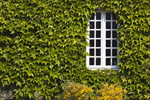 Images Dated 24th May 2012: France, Normandy Region, Manche Department, St-Germain des Vaux, window detail
