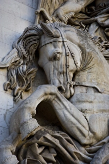 Images Dated 22nd March 2007: France, Paris. Horse head detail on the Arc de Triomphe