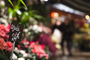 Images Dated 6th November 2010: France, Paris, Left Bank, flower shop, rue de Buci