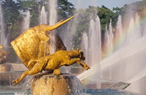 Water Fountain Prints: France, Paris, Trocadero fountain