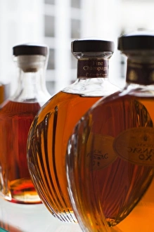 Images Dated 1st November 2010: France, Poitou-Charentes Region, Charente Department, Cognac, bottled Cognac