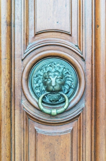 Lion Prints: France, Provence, Arles. Lion door knocker at City Hall