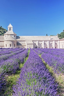 Lavender Prints: France, Provence, Gordes. Abbey of Our Lady of Senanque (Abbey Notre-Dame de Senanque)