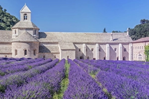 Lavender Prints: France, Provence, Gordes. Abbey of Our Lady of Senanque (Abbey Notre-Dame de Senanque) built in the 12th century