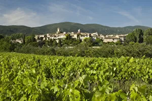 France, Provence, Lourmarin. Grapevines grow beneath the village of Lourmarin