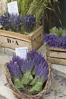 Sault Prints: France, Provence, Sault. Bunches of cut lavender for sale at a shop