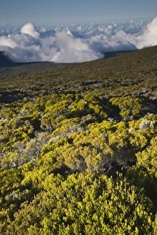 Low Cloud Prints: France, Reunion Island, Bourg Murat, Plaine-des-Cafres, landscape on the rim of