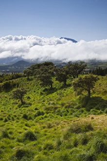France, Reunion Island, Bourg Murat, Plaine-des-Cafres, landscape on the RF5 towards