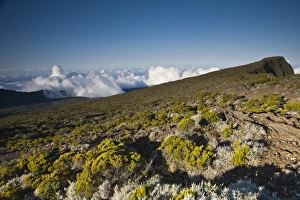 Images Dated 7th October 2008: France, Reunion Island, Bourg Murat, Plaine-des-Cafres, landscape on the rim of