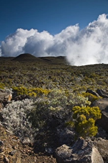 Images Dated 7th October 2008: France, Reunion Island, Bourg Murat, Plaine-des-Cafres, landscape on the rim of