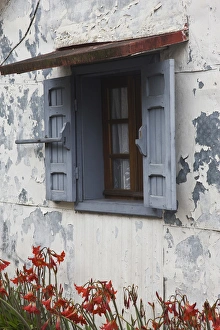 France, Reunion Island, Cirque de Salazie, Grand-Ilet, Cottage detail