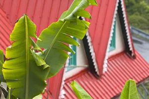Images Dated 4th October 2008: France, Reunion Island, Cirque de Salazie, Hell-Bourg, red roof