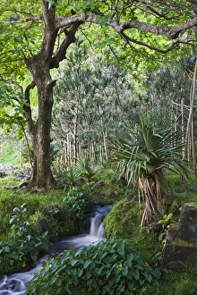 Images Dated 9th October 2008: France, Reunion Island, East Reunion, Anse des Cascades, waterfall