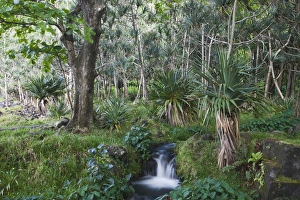 East Reunion Prints: France, Reunion Island, East Reunion, Anse des Cascades, waterfall