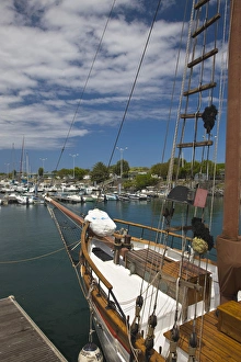 Images Dated 3rd October 2008: France, Reunion Island, Le Port, Yacht Marina