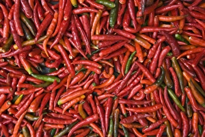 Images Dated 3rd October 2008: France, Reunion Island, St-Paul, Seafront Market, Chilli peppers