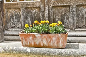 Blossoming Prints: France, Saint-Cirq Lapopie. Flower box on a doorstep