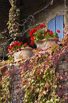 Images Dated 13th October 2010: France, Saone-et-Loire Department