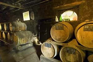 France, Sept Forges, barrels in the cellar of Patrick Boisgontier