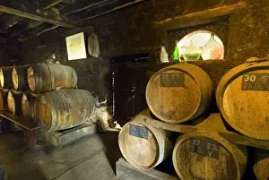 Liquor Prints: France, Sept Forges, barrels in the cellar of Patrick Boisgontier