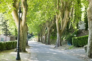 France, Southern France, Provence, Luberon, Menerbes