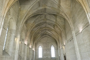 Images Dated 14th May 2015: France, Southern France, Vaucluse, Provence, Avignon, views in and round the Papal