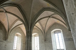 Low Angle Prints: France, Southern France, Vaucluse, Provence, Avignon, views in and round the Papal