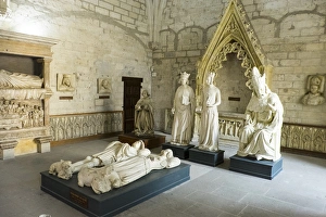 Images Dated 14th May 2015: France, Southern France, Vaucluse, Provence, Avignon, views in and round the Papal